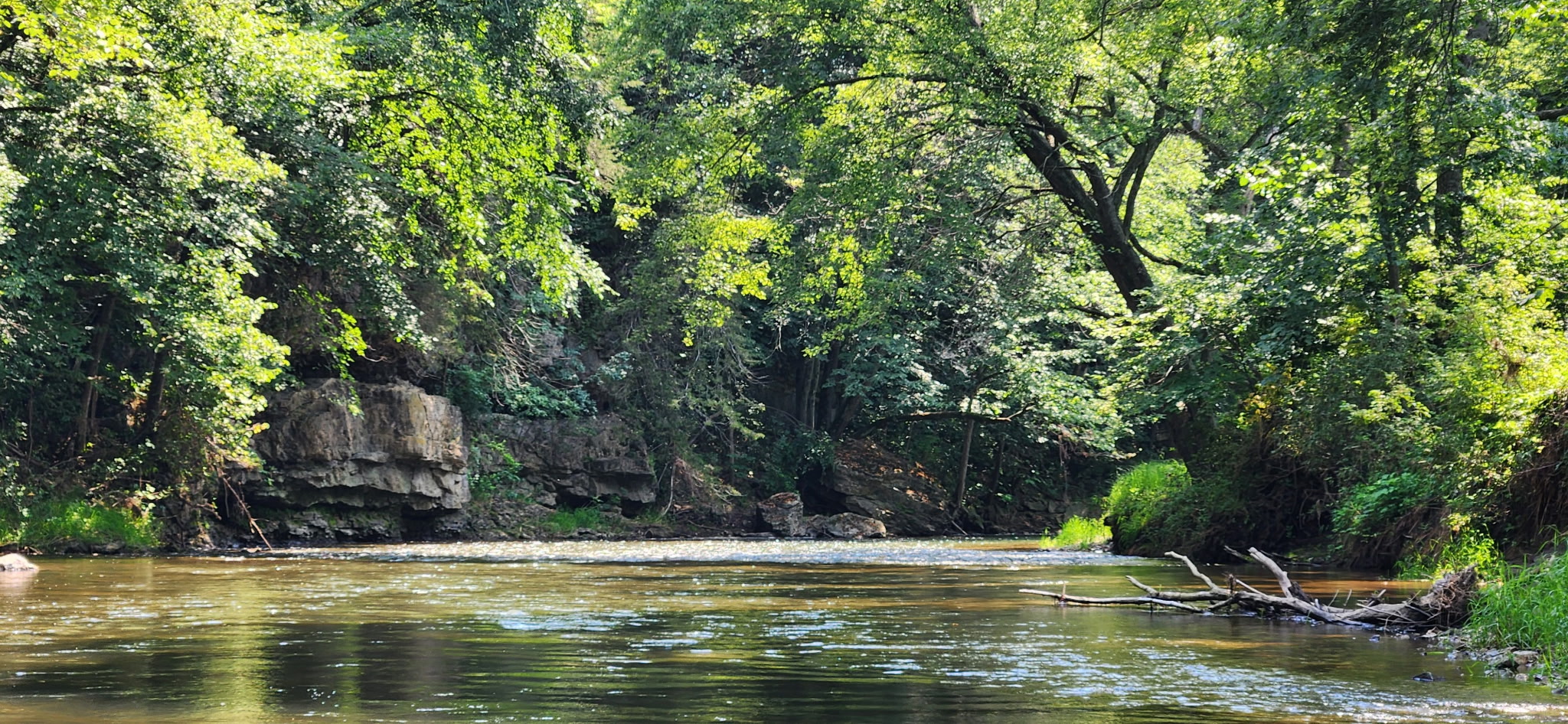 Guided fishing trip in the Driftless Region