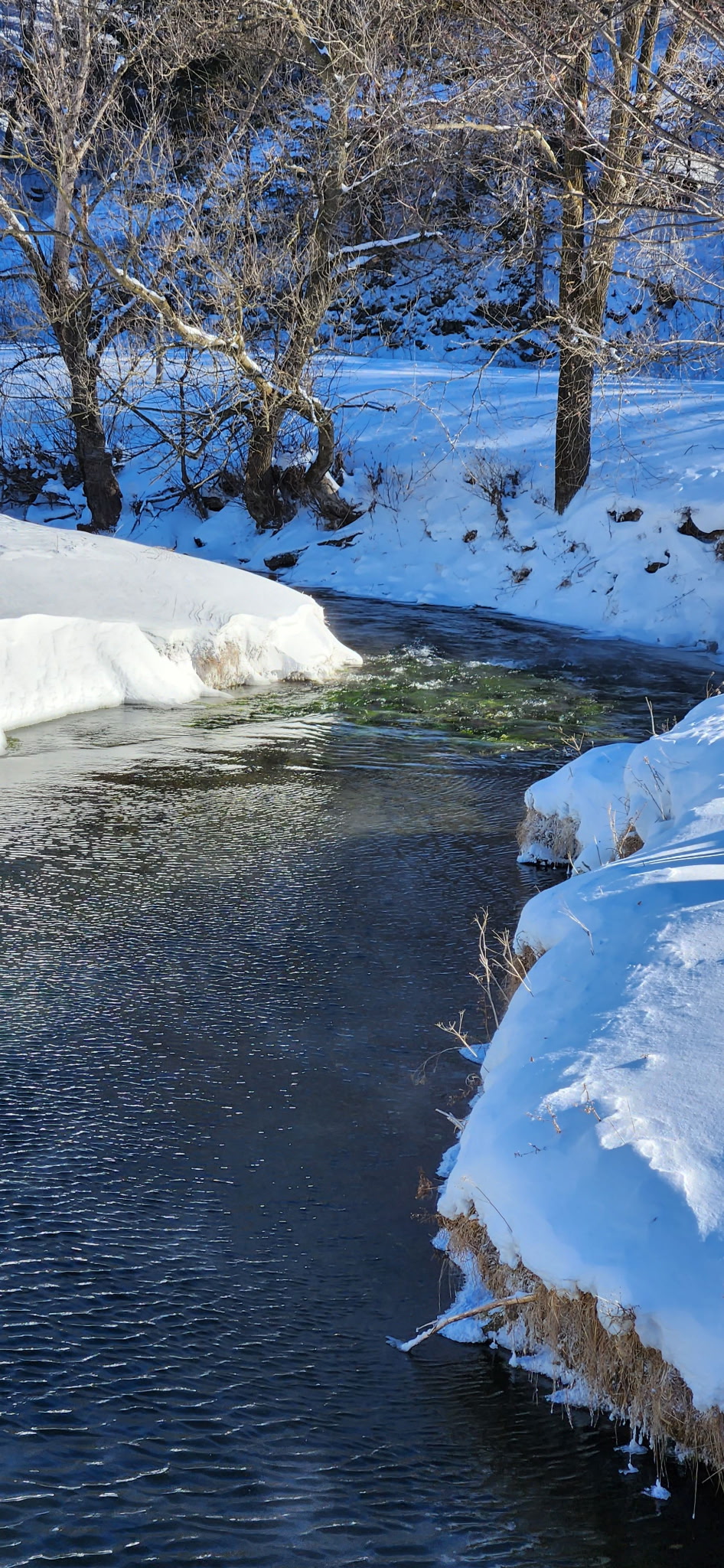 Guided fishing trip in the Driftless Region